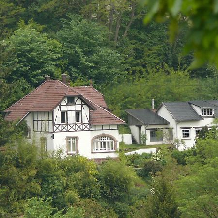 La Dependance De La Villa Des Oiseaux - La Petite Pierre Luaran gambar
