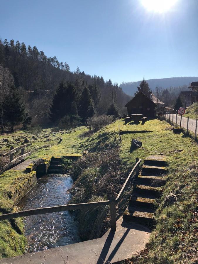 La Dependance De La Villa Des Oiseaux - La Petite Pierre Luaran gambar