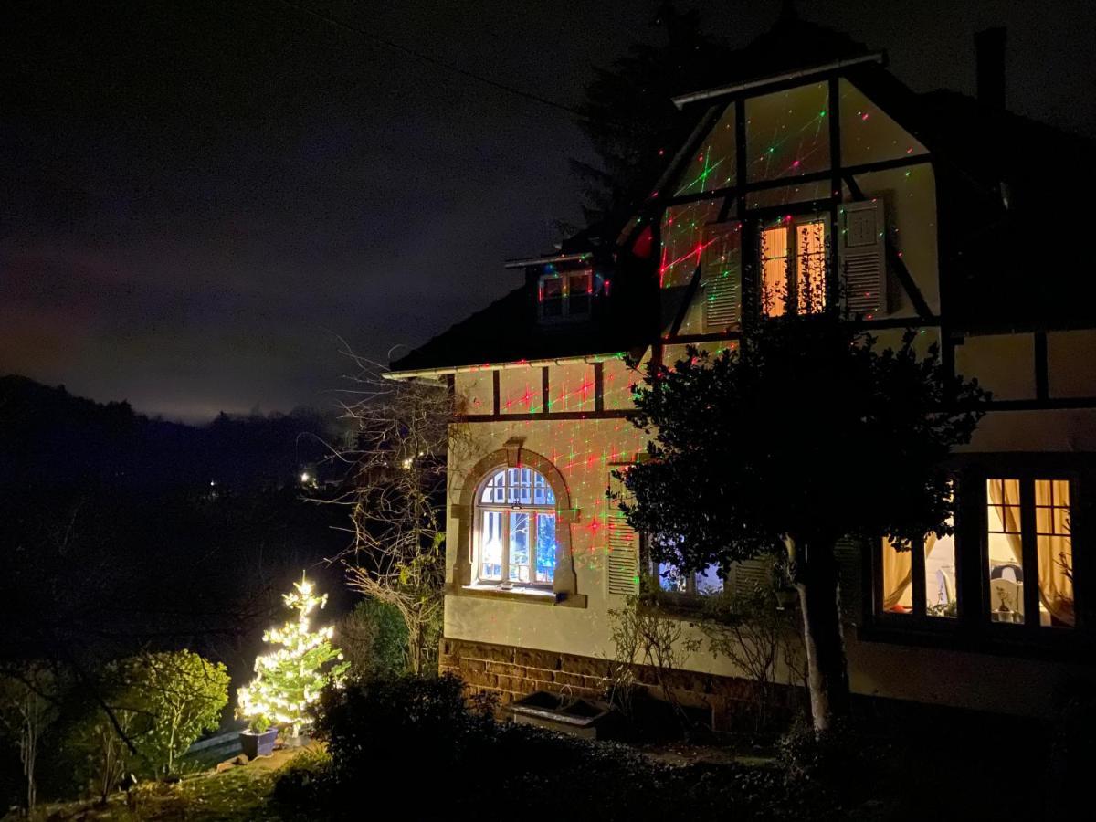 La Dependance De La Villa Des Oiseaux - La Petite Pierre Luaran gambar