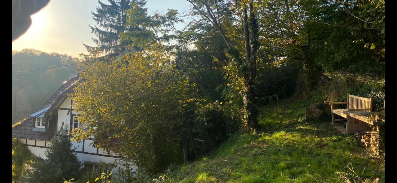 La Dependance De La Villa Des Oiseaux - La Petite Pierre Luaran gambar
