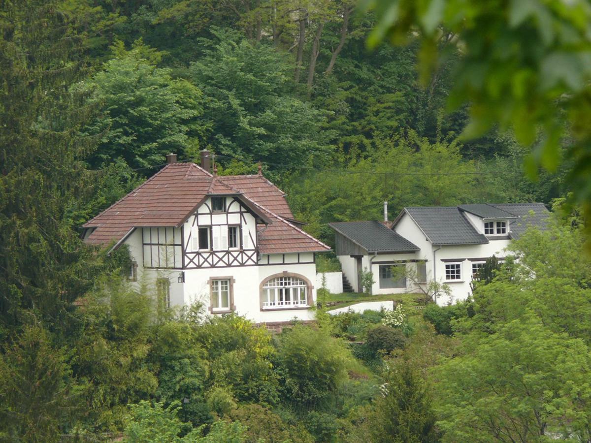La Dependance De La Villa Des Oiseaux - La Petite Pierre Luaran gambar
