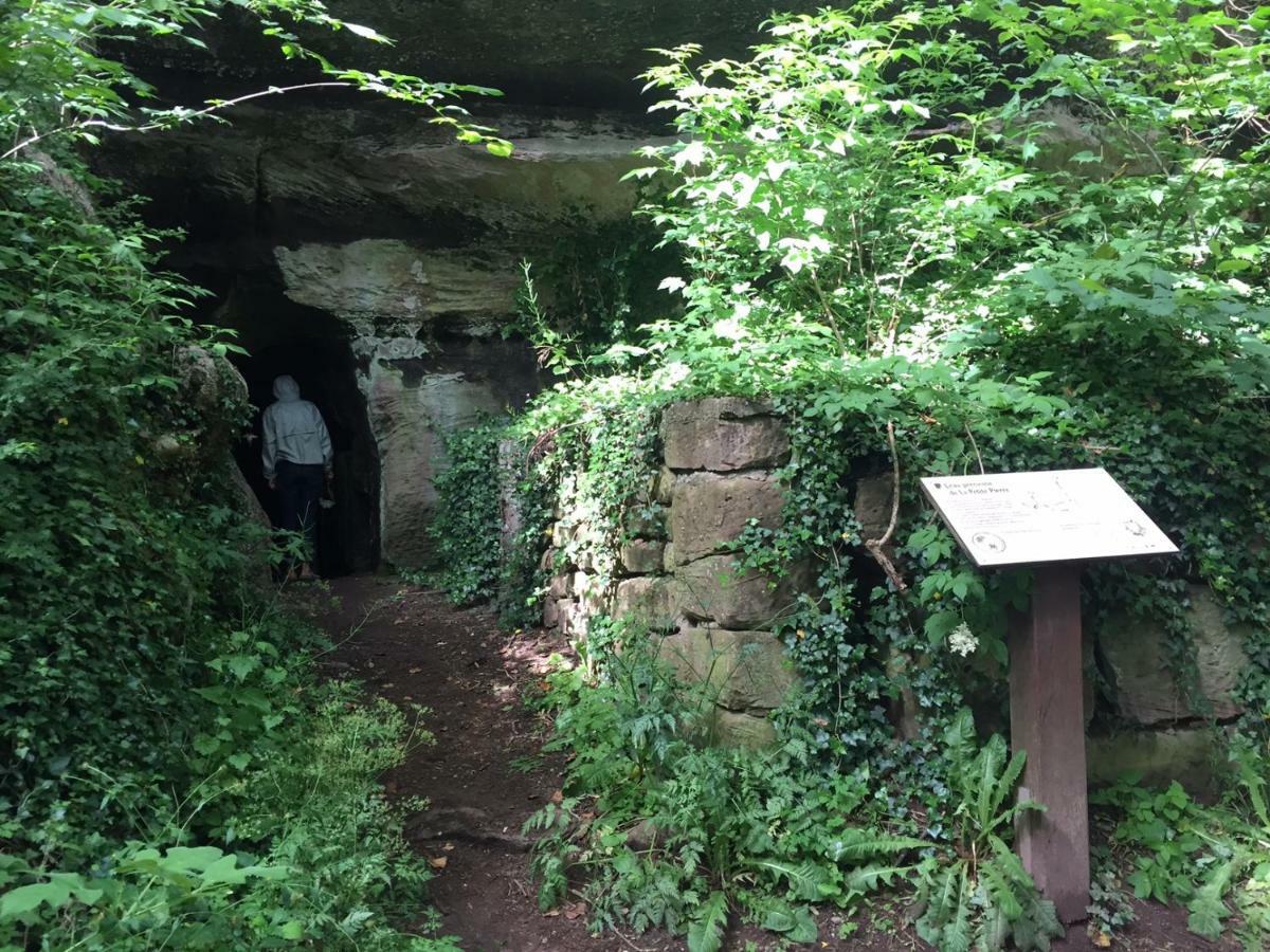 La Dependance De La Villa Des Oiseaux - La Petite Pierre Luaran gambar