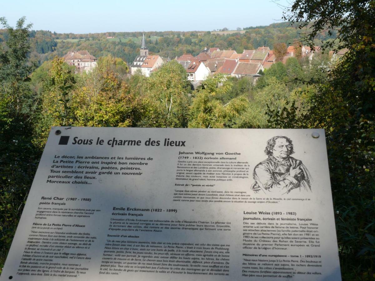 La Dependance De La Villa Des Oiseaux - La Petite Pierre Luaran gambar