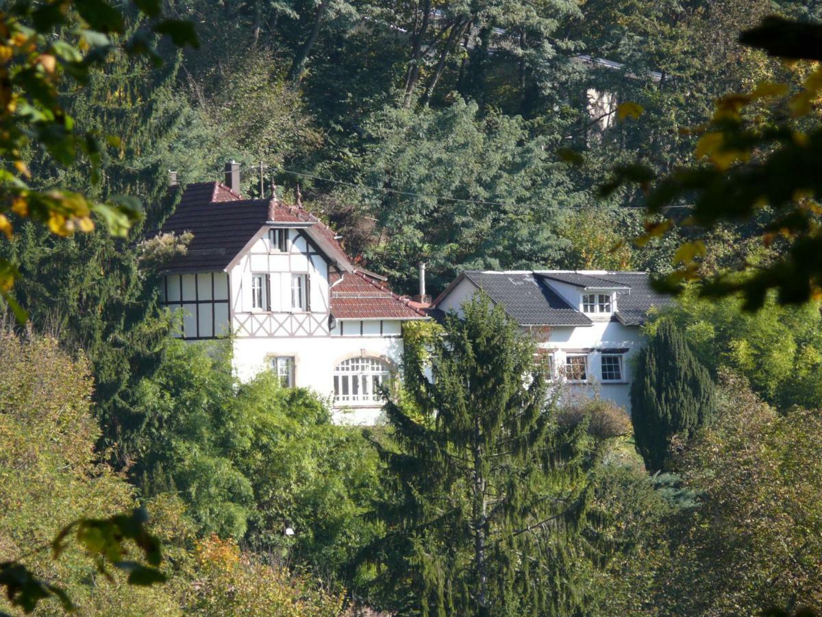 La Dependance De La Villa Des Oiseaux - La Petite Pierre Luaran gambar