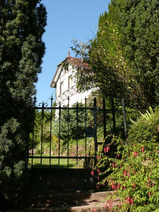 La Dependance De La Villa Des Oiseaux - La Petite Pierre Luaran gambar