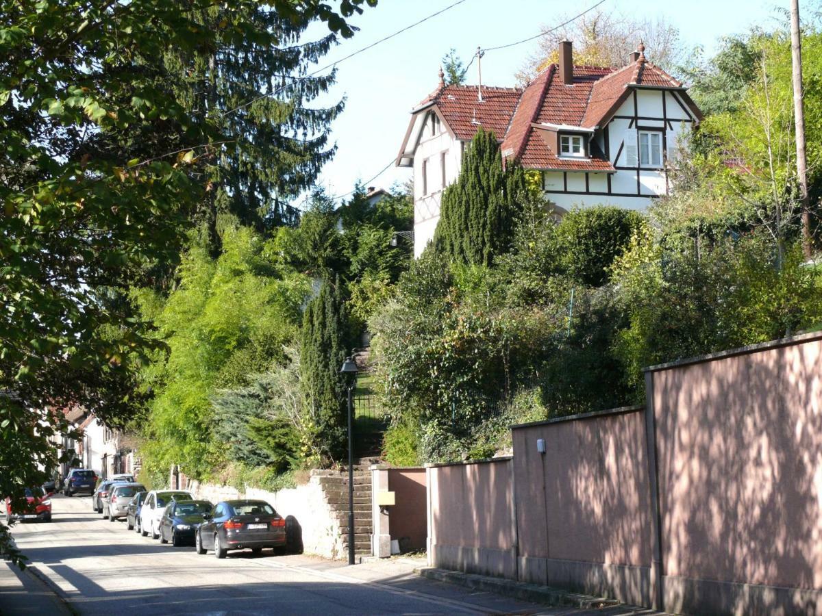 La Dependance De La Villa Des Oiseaux - La Petite Pierre Luaran gambar